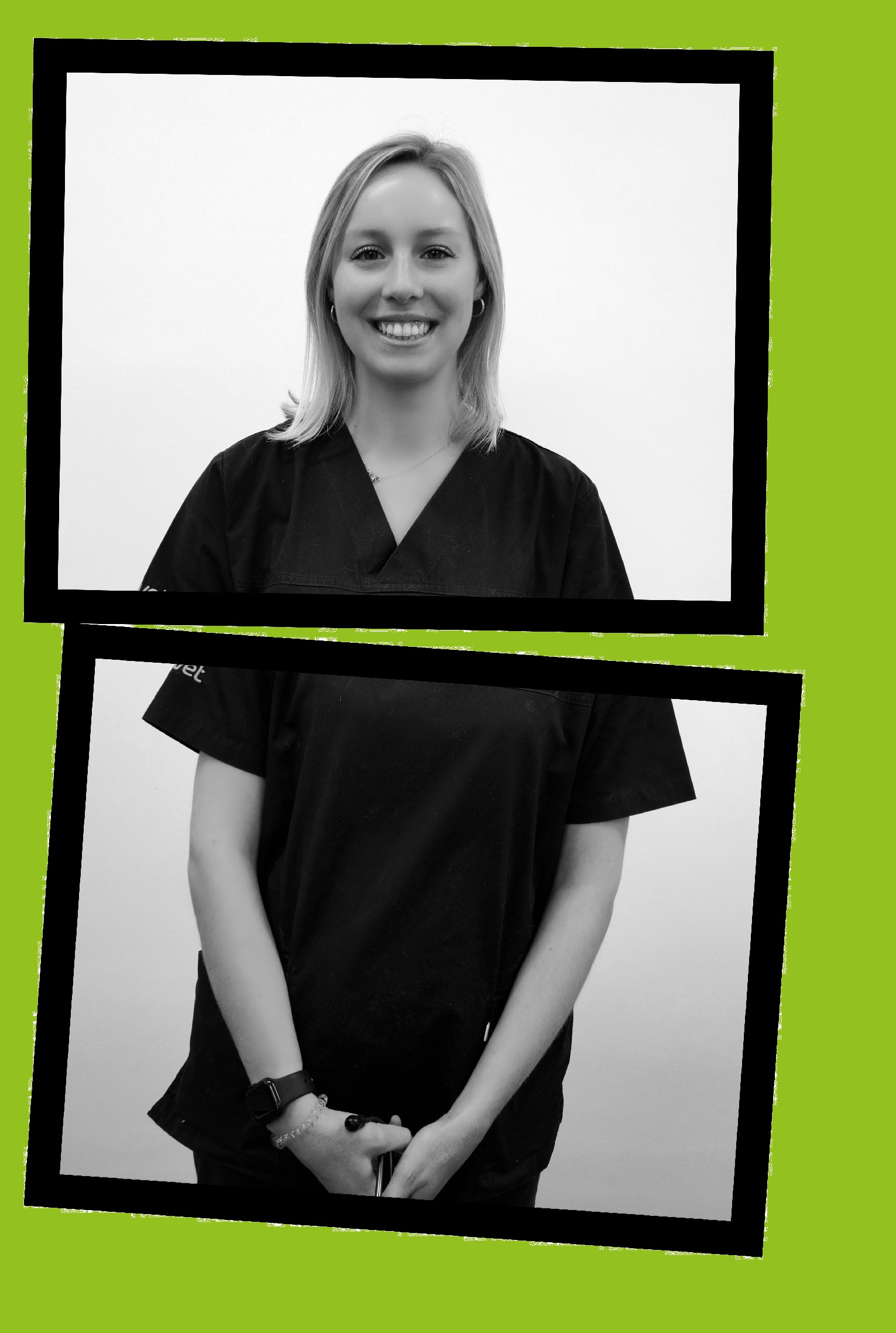 interne vétérinaire vetofora