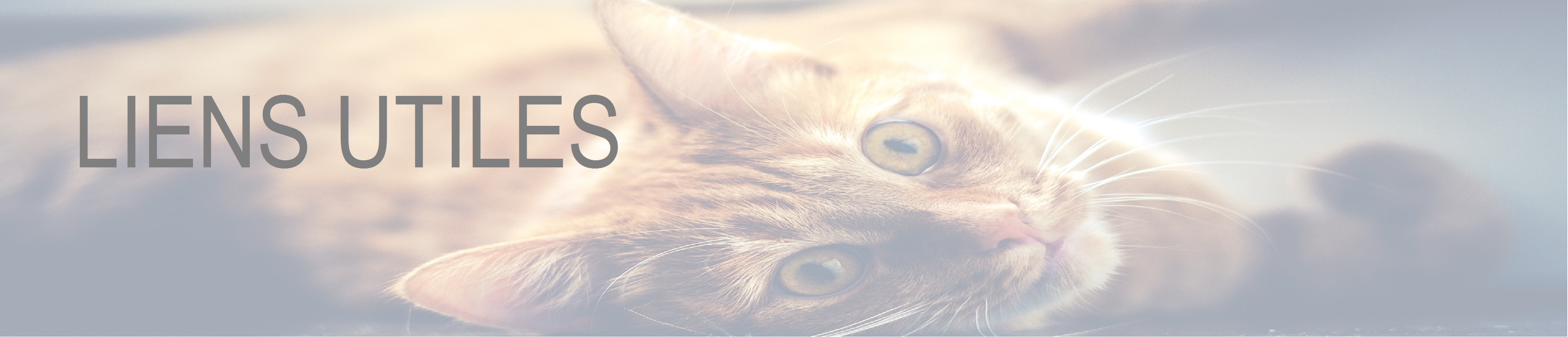 Vous aimez vos animaux, nous prenons soin d'eux!